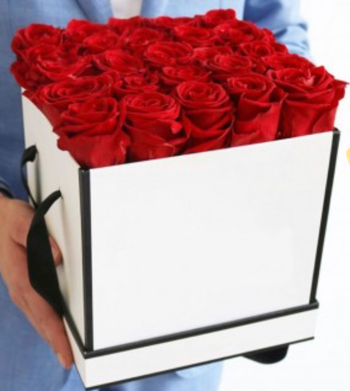Roses in square box